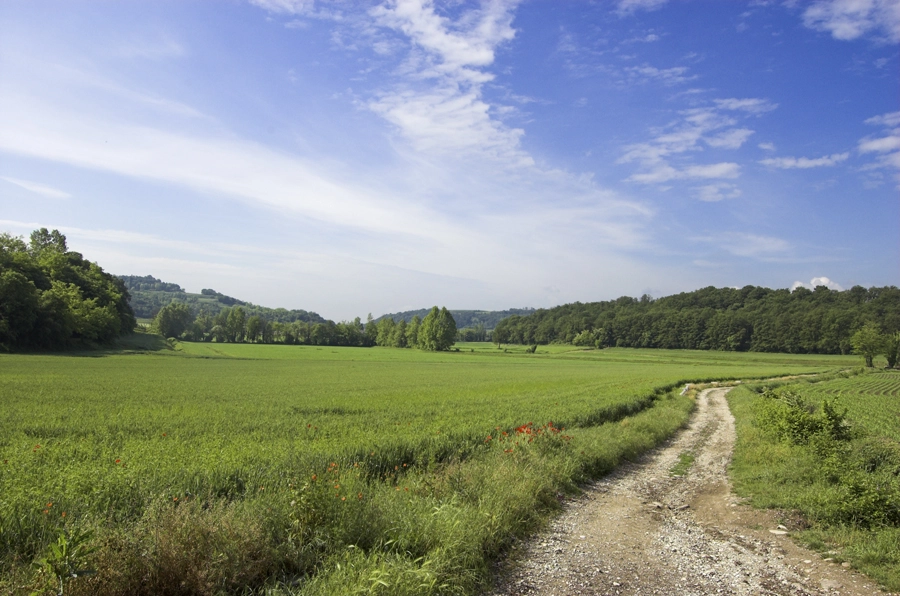 Colline moreniche del garda tra Sona e Sommacampagna